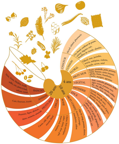 la roues des arômes Armagnac